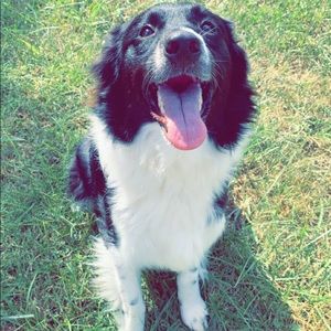 Meet your Posher, Jayden